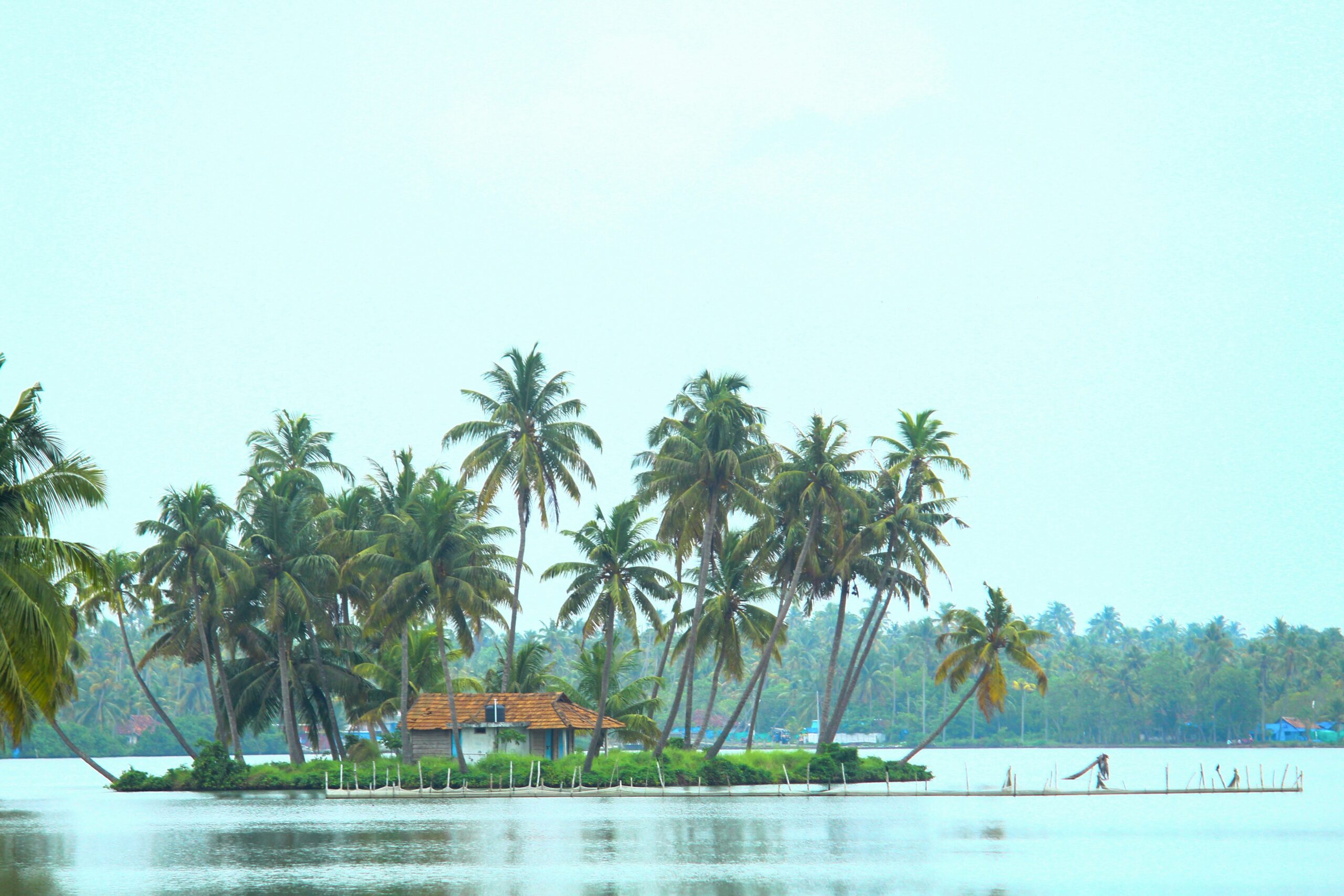 Corporate Car Rental Services in Kochi